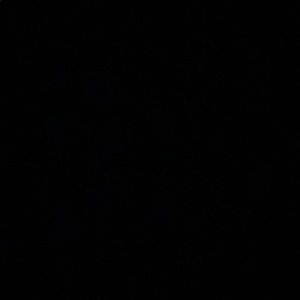 Meet your Posher, Terra